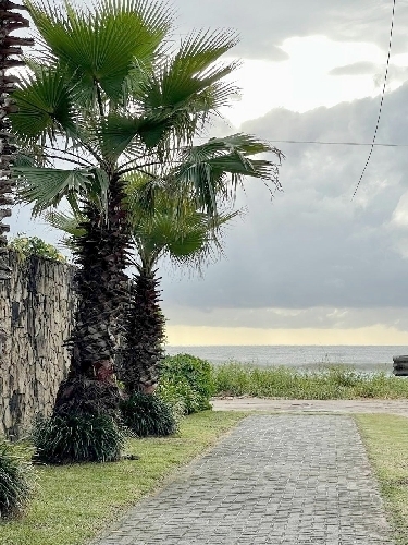 Temporada | APARTAMENTOS | Guaratuba